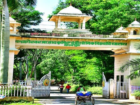 24  teachers of CSA get half salary